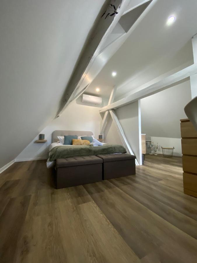 Comfortable Air-Conditioned T3 In The Heart Of Amboise With Parking Space Eksteriør billede