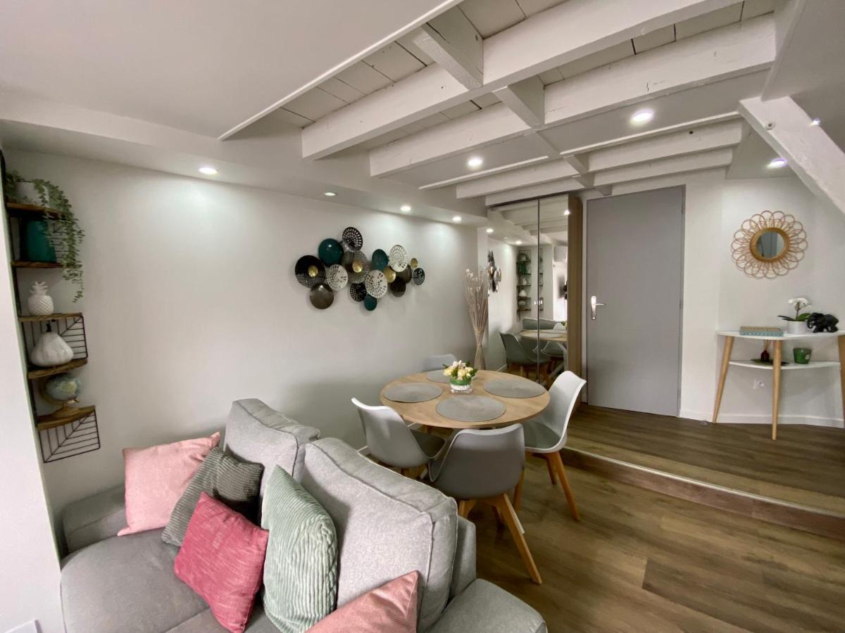 Comfortable Air-Conditioned T3 In The Heart Of Amboise With Parking Space Eksteriør billede