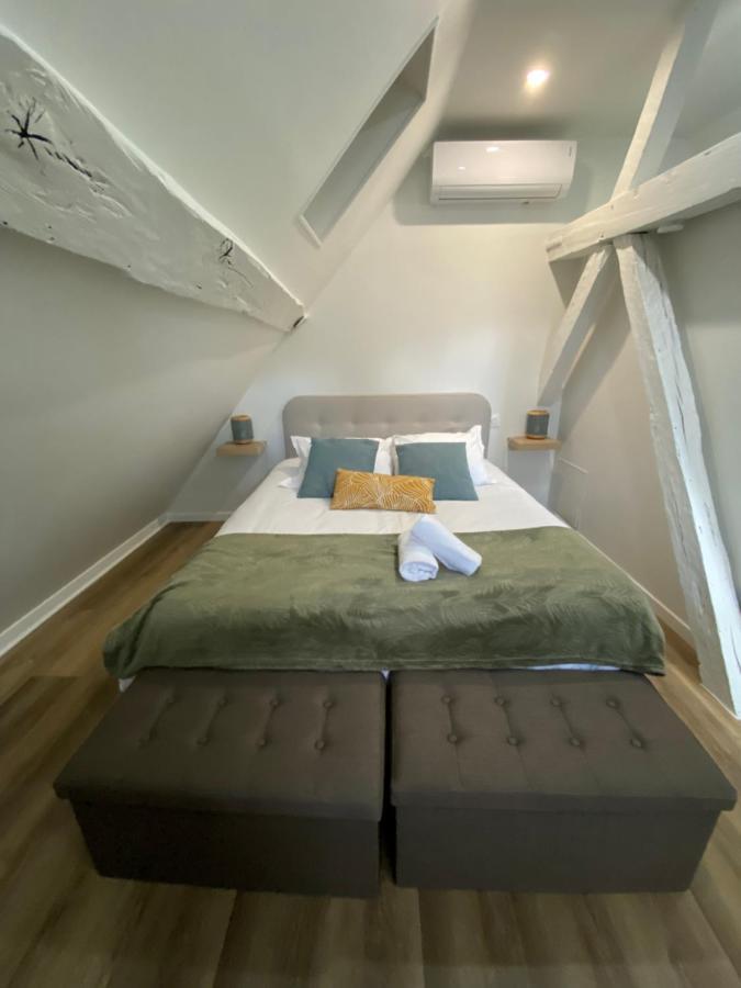 Comfortable Air-Conditioned T3 In The Heart Of Amboise With Parking Space Eksteriør billede